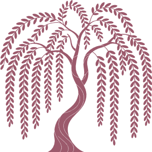 Pink Willow Web Logo